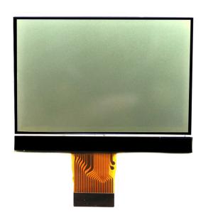China FSTN display 16096 Display module positive LCD display FSTN monochrome cog wholesale