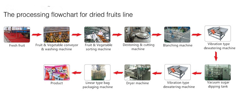 High Performance Fruit Processing Line Juice Production Machine Esay Use