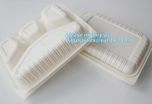 Quality Plastic corn starch biodegradable meat tray, Cornstarch disposable biodegradable plate for sale