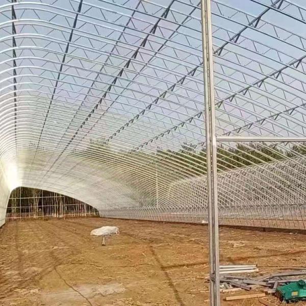 Quality Customized Temperature Control Polytunnel Greenhouses With Solar Energy Cooling System for sale