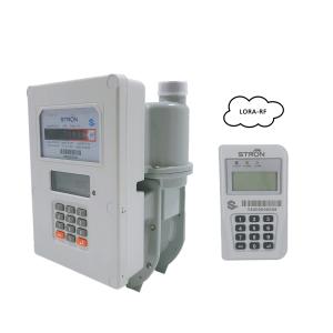 China 1.6m3/H Read Residential Gas Meter , ISO9001 Pay As You Go Gas And Electric Meter on sale