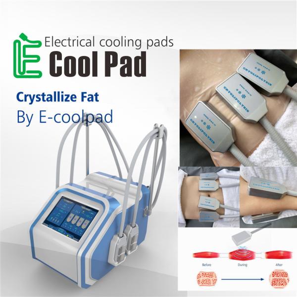 Quality Home EMS Cryolipolysis Fat Freezing Machine For Cellulite Reduction for sale