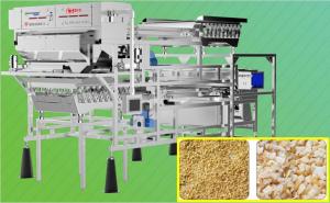 Garlic Granules Grain Sorting Machines with High Definition Camera