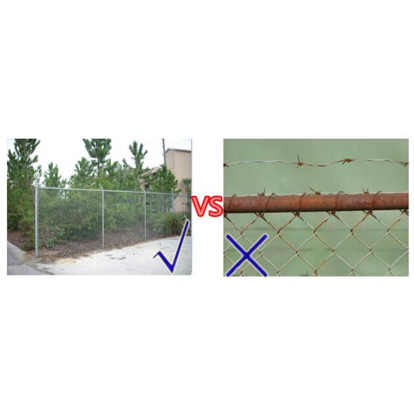 Galvanized Chain-link fence Mesh/Cyclone Fence Chain Mesh Black Chain Link Fence Cost