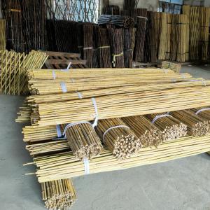 China Colorful Raw Bamboo Canes Bamboo Poles For Garden Agriculture wholesale