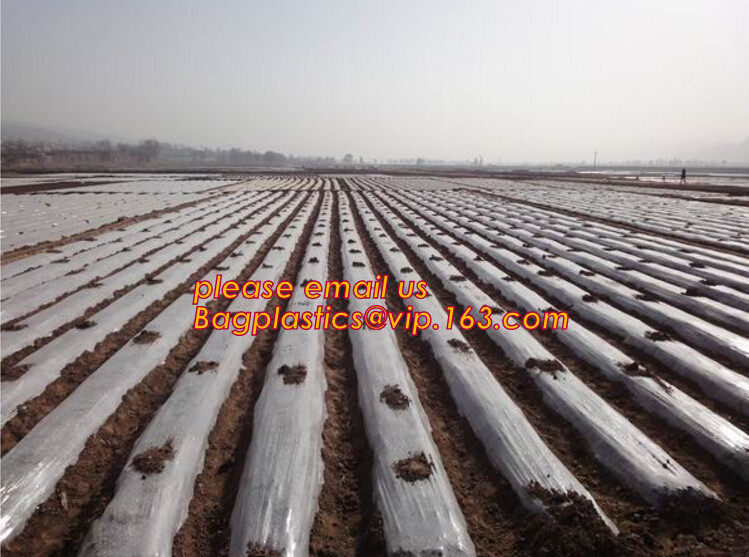 100% new HDPE insect mesh / anti bird net for apple trees,greenhouse anti insect net for plant, agriculture net Anti-ins