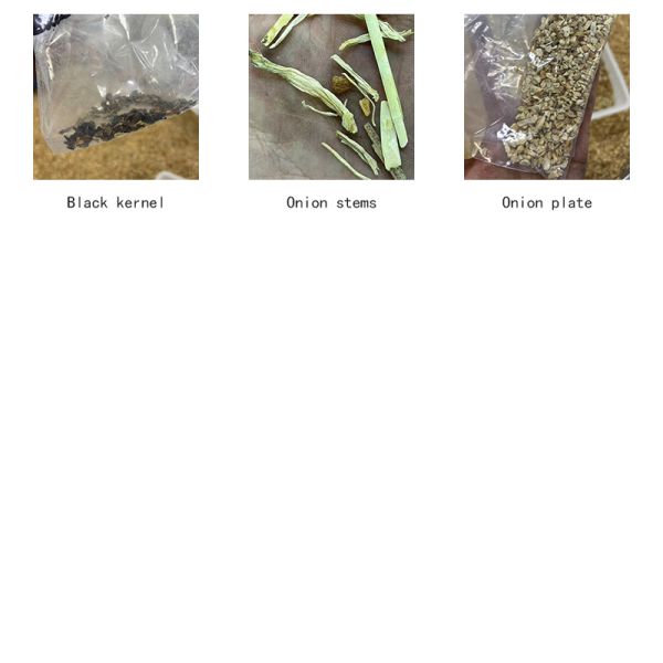 AI image recognition baked onion sorting machine