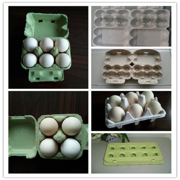 Automatic Egg Box Forming Machine 380V Recycling Paper Cup Making