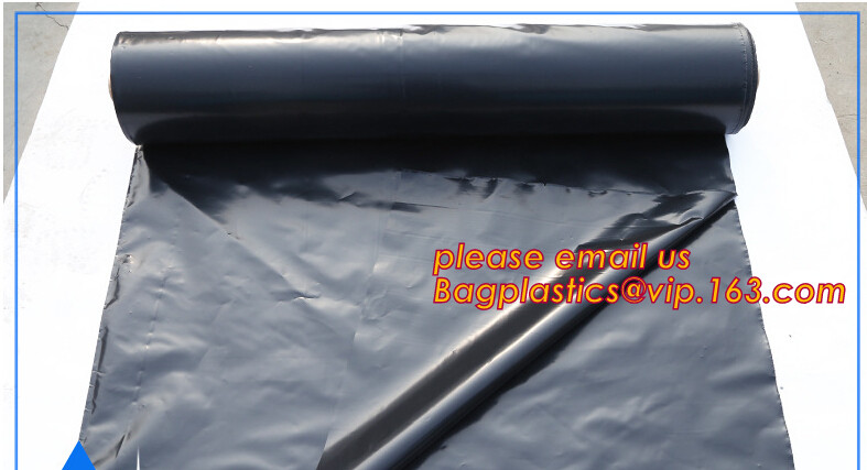 HOTICULTURAL MULCH FILM,AGRICULTURAL PE FILM,MARKET GARDENERS CLOCHE FILM,PE FILM FOR CORN,PLASTIC FILM COVER,TOMATO COV