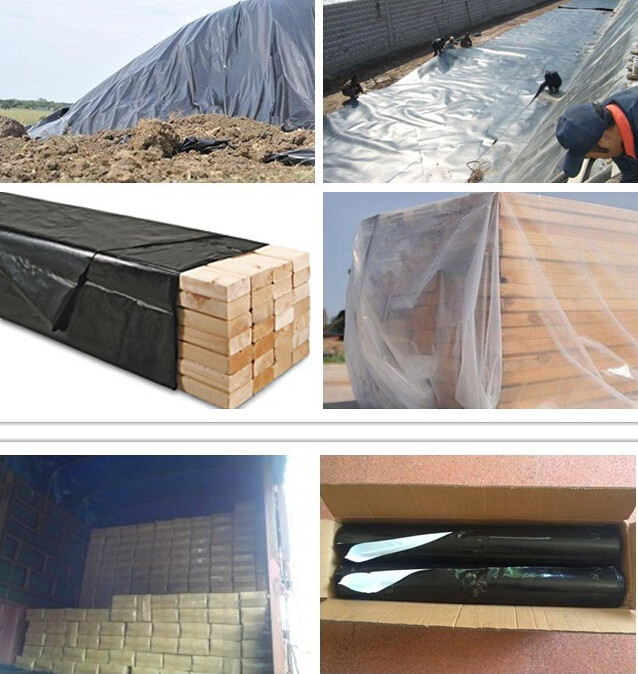 HOTICULTURAL MULCH FILM,AGRICULTURAL PE FILM,MARKET GARDENERS CLOCHE FILM,PE FILM FOR CORN,PLASTIC FILM COVER,TOMATO COV