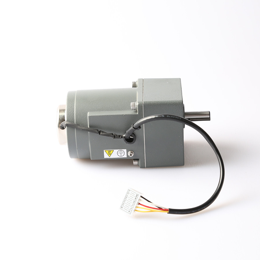 Single Phase 110V / 220V Micro AC Variable Speed Gear Motor With Speed Controller
