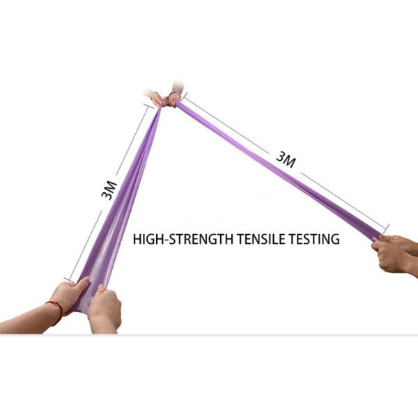 RoHS Certified Fitness Loop Band , Stretchable Exercise Bands High Strength