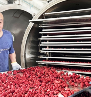 High Productivity 200kg per batch Honey Freeze Dryer Machine with Easy Operation
