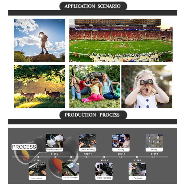 10x25 Compact Folding Binoculars High Definition For Bird Watching