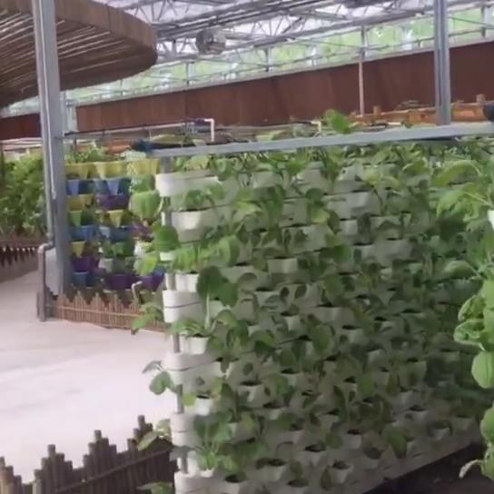 Quality Commercial Aquaponic Aquarium System Prefabricated PO Greenhouses for Vegetables for sale