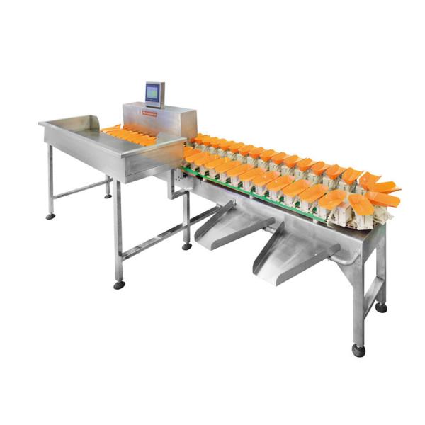 Conveyor Sortation Weight Sorter Machine 110V Multiweight Overturned Device