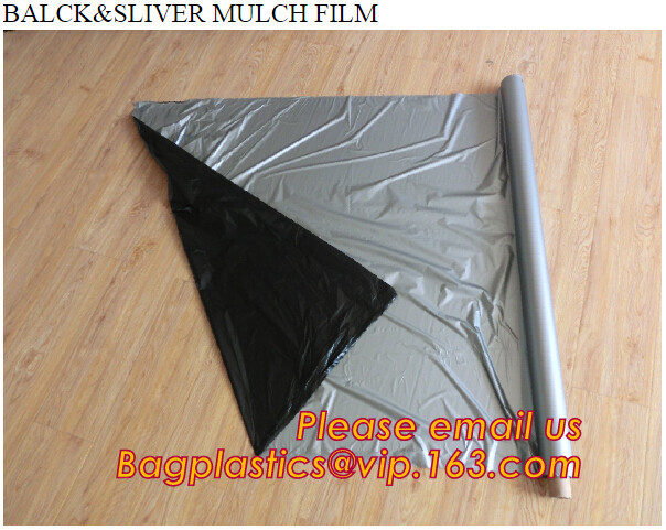 HOTICULTURAL MULCH FILM,AGRICULTURAL PE FILM,MARKET GARDENERS CLOCHE FILM,PE FILM FOR CORN,PLASTIC FILM COVER,TOMATO COV