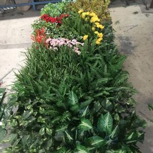 China PE UV Outdoor Artificial Plants Wall Fake Grass Wall For Supermarket wholesale