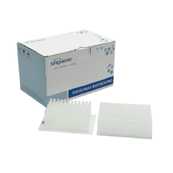 Purification System Nucleic Acid Extraction Kit 96 Samples Viral RNA Mini Kit