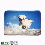 Polyester Elegant Memory Foam Bath Mat Simple Fashion Printed Pattern Techniques