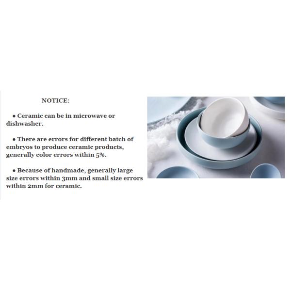 SGS Food Safety 31.5cm Ceramic Tableware Set