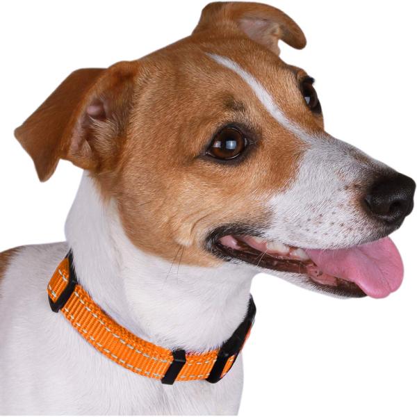 Reflective Soft Nylon Adjustable Dog Collars With Buckles 5 Sizes Optional