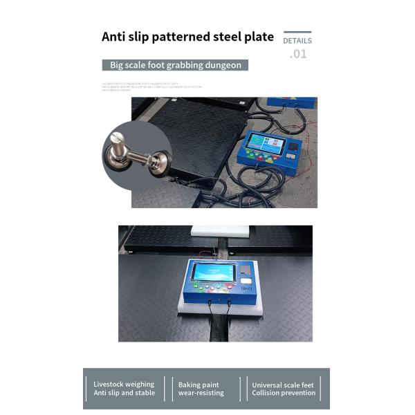 Customized OLED Display Waste Recycling Industry Scales OEM & ODM Supported Weighing Scales