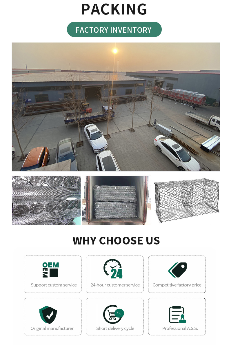 Wall Gabion Mesh Roll Hexagonal Lead Low Price Hot Dipped Galvanized Wire Mesh Silver Protection China Gabion Baskets Gabion Net