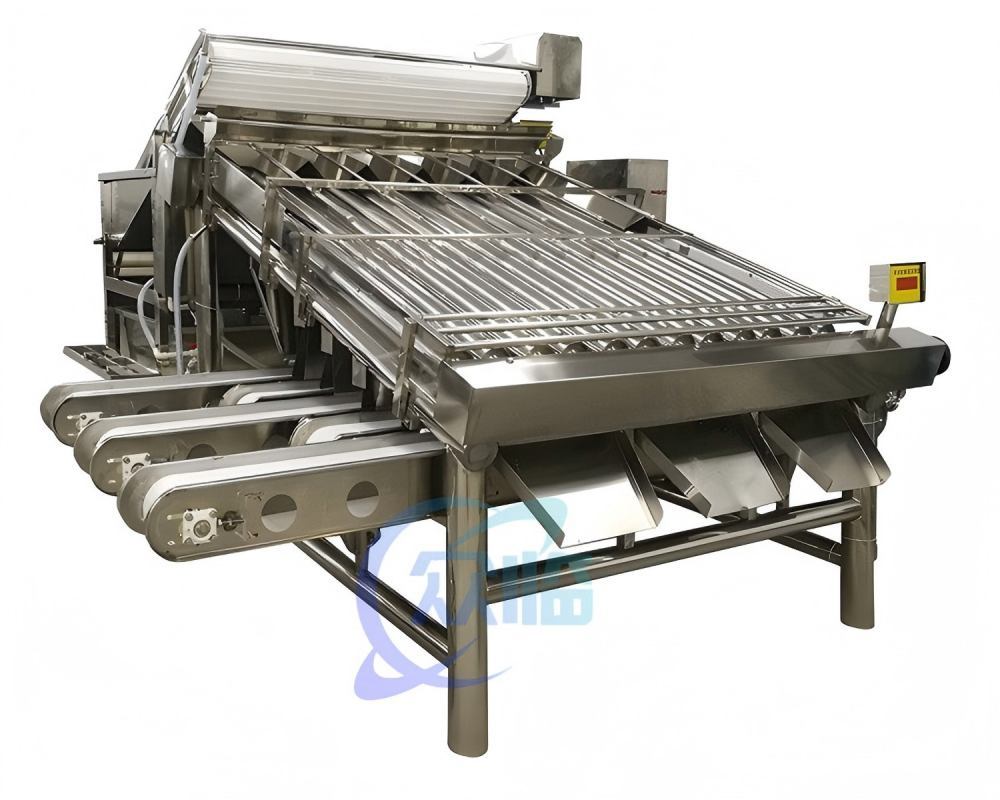 Buy cheap Customizable Prawn Grader Automatic Shrimp Processing Equipment from wholesalers