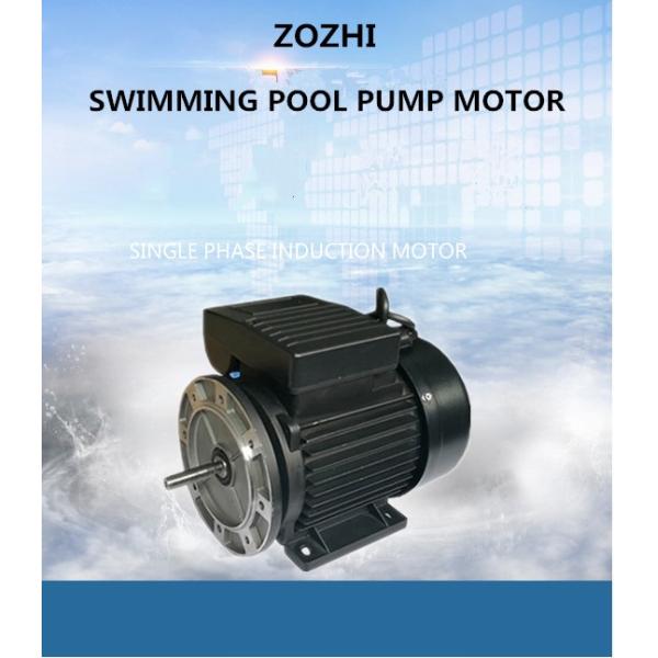 Ac Induction Electric Single Phase Induction Motor For Above Ground Pool Pump / Sauna
