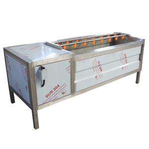 China 1200kg/H Brush Industrial Potato Peeler Fruit And Vegetable Peeling Machine wholesale