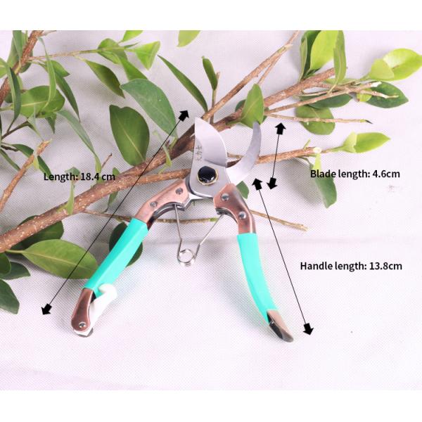 High Hardness Fruit Picking Grape Garden Pruning Scissors Flower Shears 350G