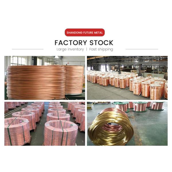 Golden 99.95% Copper Products C1100 C1200 C1020 C5191 Pure Copper Coil