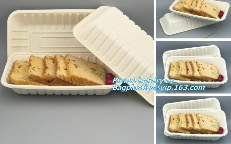 7 inch Pretty Food Grade Eco Biodegradable Tableware Disposable Corn Starch Plate,corn starch disposable plastic plates/