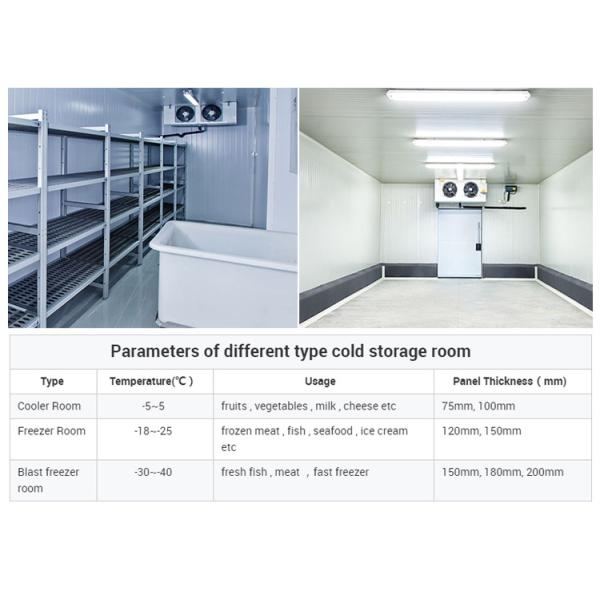 Fruit Vegetable Fish Cool Room And Freezer Commercial