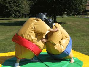 China Sumo Wresting Inflatable Amusement Park wholesale