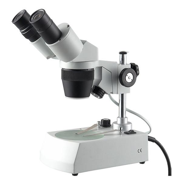 Quality stereo microscope 20x40x two magnification level 10x30x student  and classroom teaching10x20x for sale