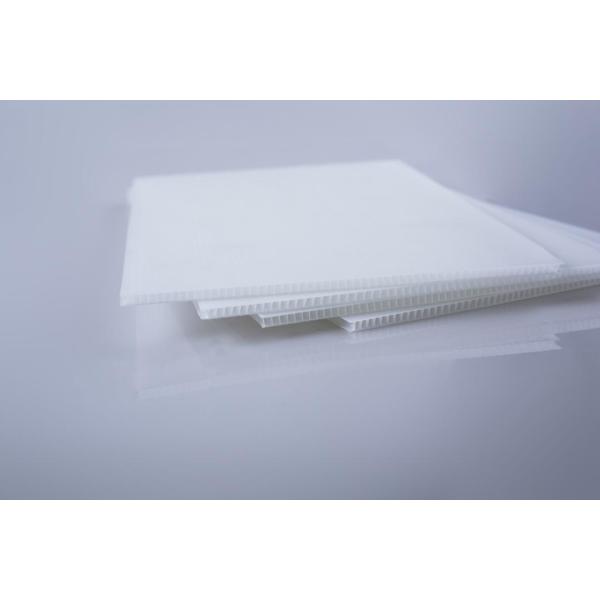 Shakeproof PP Corrugated Sheets Waterproof Lightweight Plastic Sheets White