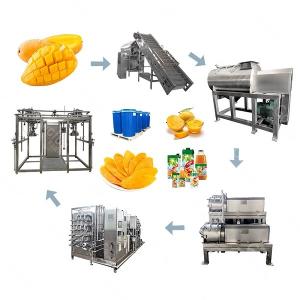 China 10T/H 440V Mango Puree Processing Line Flexible Operation Support wholesale