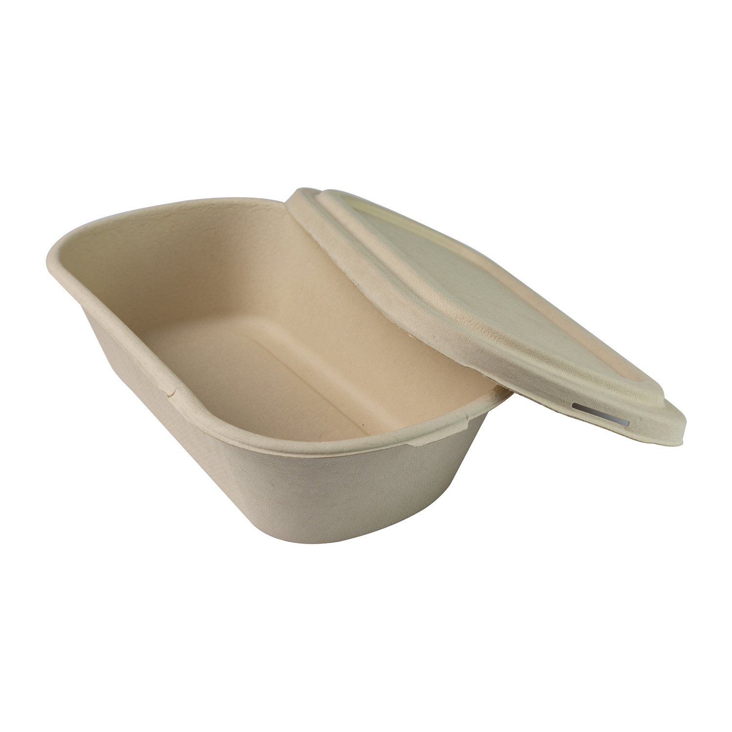 Biodegradable Paper Pulp Lunch Container, Sugarcane Bagasse Food Container, Disposable Tableware
