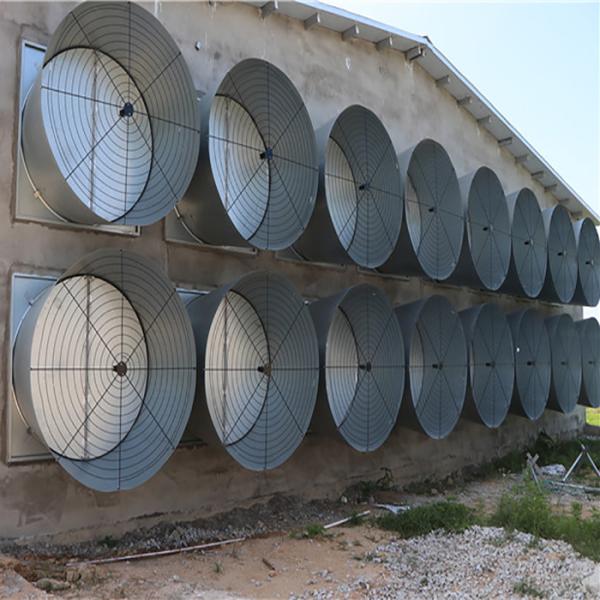Steel Wire Mesh Farm Rabbit Cage Hot Dipped Galvanized Surface 12 Mums Capacity