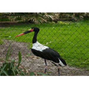 7x7 Stainless Steel Animal Wire Mesh Rope Enclosure CE Certificated