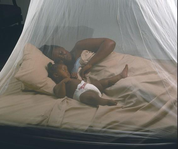 Quality White Anti Insect Netting , Diamond / Hexagonal Mesh Mosquito Net For Bed for sale