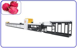 China Pitaya Intelligent Fruit Sorting Machine Computer Control For 2 - 3 T/H wholesale