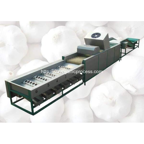 automatic-garlic-dry-cleaning-and-sorting-grading-machine