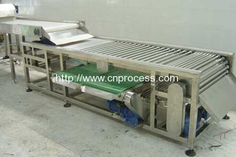 Fruit-grading-machine