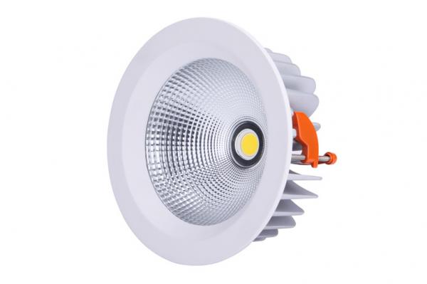 Quality 22w External Led COB Downlight White Ral9003 Color Led Lighting Downlights for sale