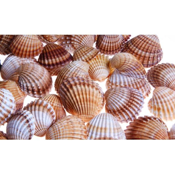 Shell pendant craft multi-head engraving machine