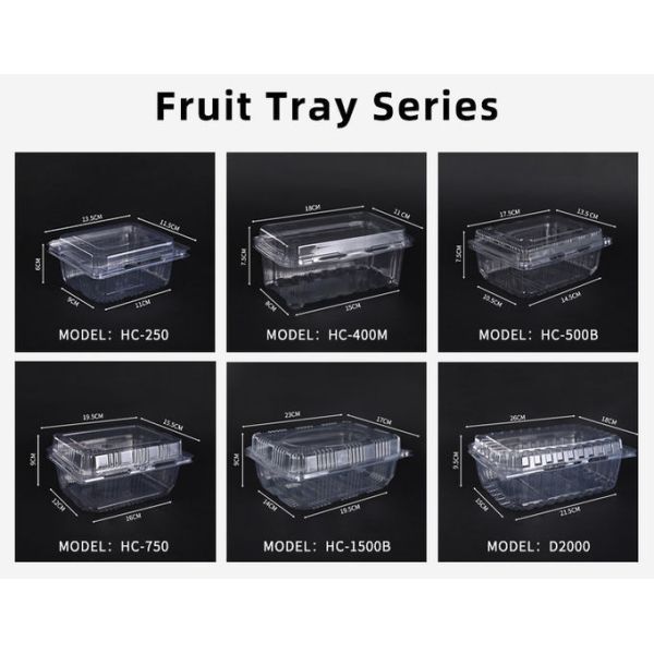 PET Fruit Container Disposable Plastic Containers With Dome Lid Disposable Clear Box