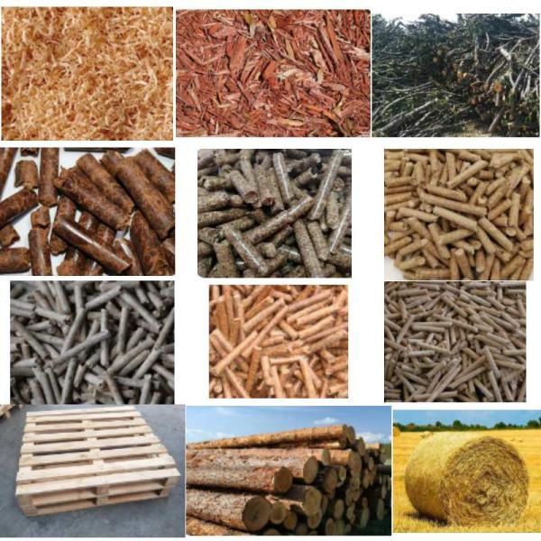 CE Biomass Wood Chip Pellet Maker Sawdust Pellet Press Machine